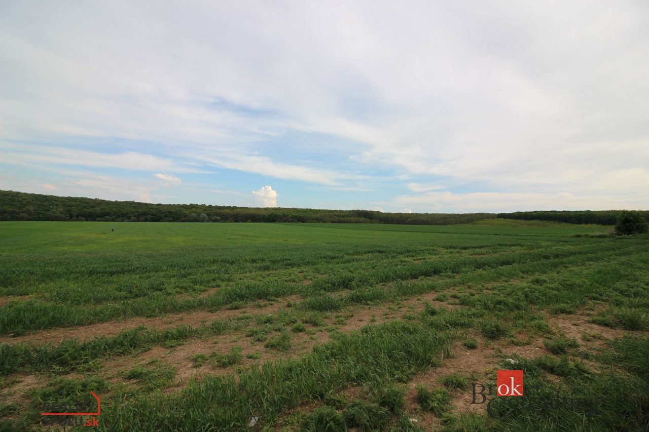 hlavná fotografia nehnuteľnosti