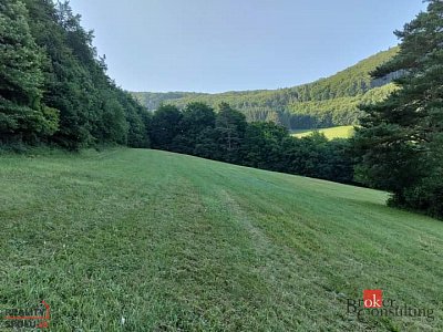druhá fotografie nemovitosti