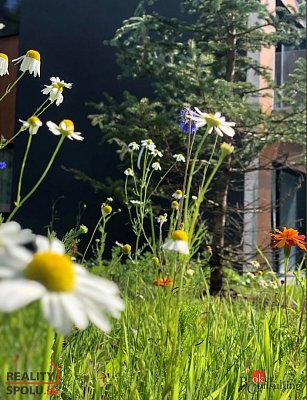třetí fotografie nemovitosti