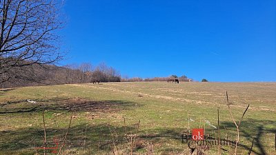 druhá fotografie nemovitosti