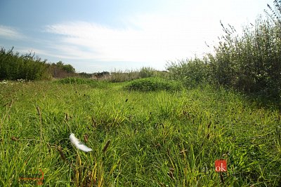 třetí fotografie nemovitosti
