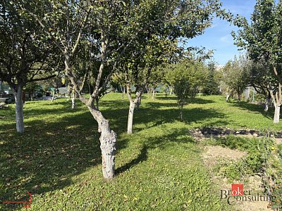 třetí fotografie nemovitosti