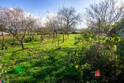 třetí fotografie nemovitosti