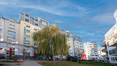 třetí fotografie nemovitosti